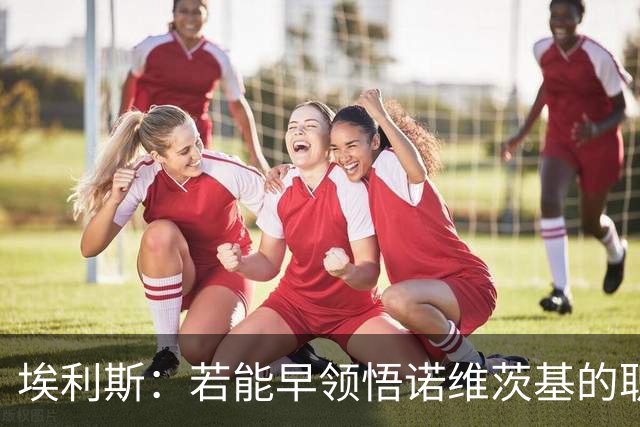 埃利斯：若能早领悟诺维茨基的职业态度，我的生涯或将大不同